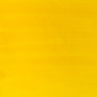 Winsor & Newton Galeria Acrylic Colour 60ml - Cadmium Yellow Medium Hue