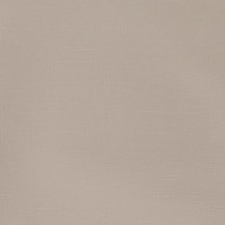 Winsor & Newton Galeria Acrylic Colour 60ml - Pale Umber