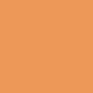 Winsor & Newton Promarker Twin-Tip Marker Pens - Ginger
