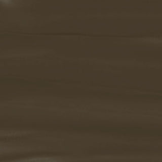 Daler Rowney Graduate Acrylic 120ml - 247 Raw Umber
