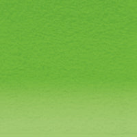 Derwent Lightfast Colour Pencils - Grass Green (70%)