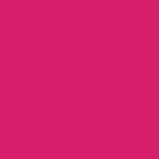 Winsor & Newton Promarker Twin-Tip Marker Pens - Hot Pink