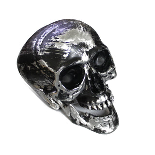 Studio 22 Plastic Life Size Human Skull Reference Figurines
