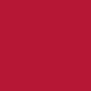 Pebeo Mat Pub Acrylic Paint 140ml - Carmine Red