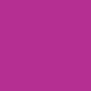 Winsor & Newton Promarker Twin-Tip Marker Pens - Mulberry