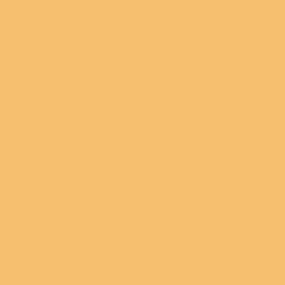 Winsor & Newton Promarker Twin-Tip Marker Pens - Mustard