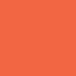Winsor & Newton Promarker Twin-Tip Marker Pens - Orange