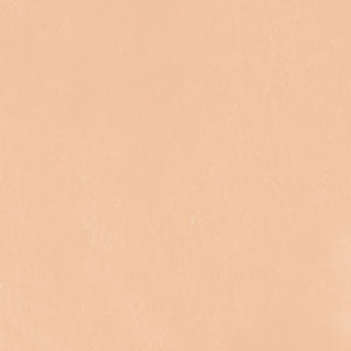Unison Colour Single Soft Pastels - Portrait 2