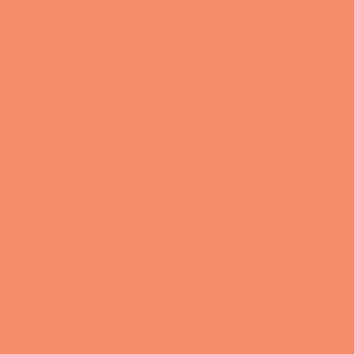 Winsor & Newton Promarker Twin-Tip Marker Pens - Peach