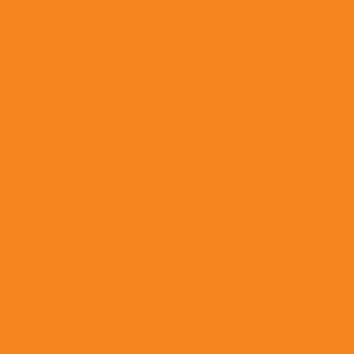 Winsor & Newton Promarker Twin-Tip Marker Pens - Pumpkin