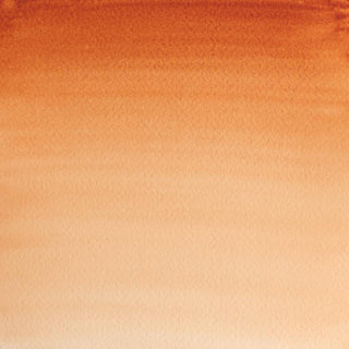 Winsor & Newton Professional Water Colour 5ml - Burnt Sienna