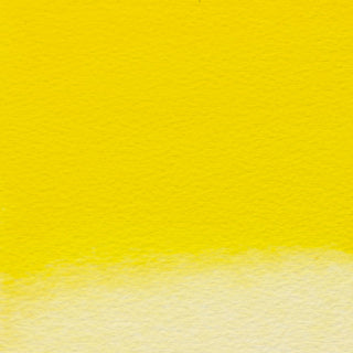 Winsor & Newton Professional Water Colour Half Pans - Cadmium-Free Lemon