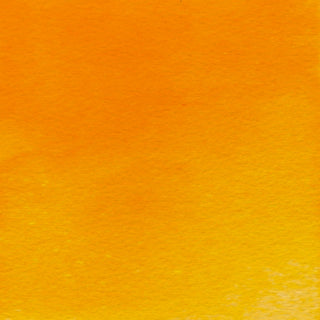 Winsor & Newton Professional Water Colour 14ml - Cadmium-Free Orange