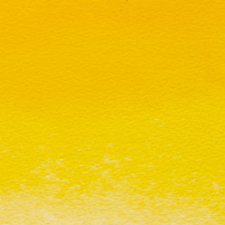 Winsor & Newton Professional Water Colour Half Pans - Cadmium-Free Yellow