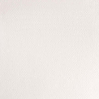 Winsor & Newton Professional Water Colour 5ml - Chinese White