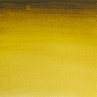 Winsor & Newton Professional Water Colour 14ml - Green Gold