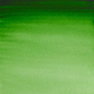 Winsor & Newton Professional Water Colour Half Pans - Hooker's Green