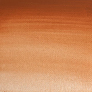 Winsor & Newton Professional Water Colour 5ml - Magnesium Brown
