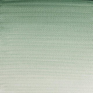 Winsor & Newton Professional Water Colour 5ml - Terre Verte