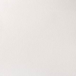 Winsor & Newton Professional Water Colour Half Pans - Titanium White (Opaque White)