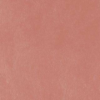 Unison Colour Single Soft Pastels - Red Earth 16