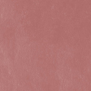 Unison Colour Single Soft Pastels - Red Earth 5