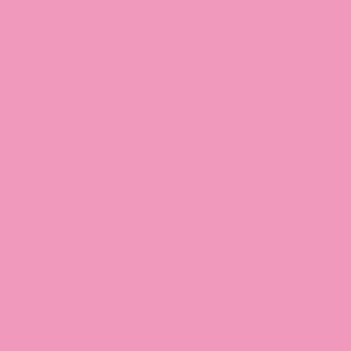 Winsor & Newton Promarker Twin-Tip Marker Pens - Rose Pink
