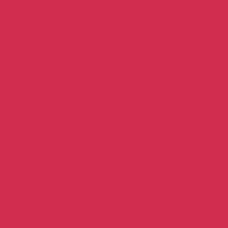 Winsor & Newton Promarker Twin-Tip Marker Pens - Ruby