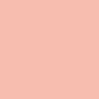 Winsor & Newton Promarker Twin-Tip Marker Pens - Soft Peach