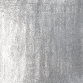 Liquitex Basics Acrylic Paint 250ml - 52 Silver