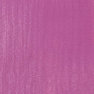 Liquitex Basics Acrylic Paint 250ml - 500 Medium Magenta