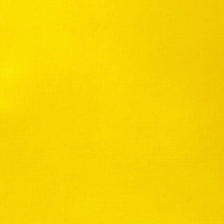 Liquitex Basics Acrylic Paint 250ml - 830 Cadmium Yellow Medium Hue