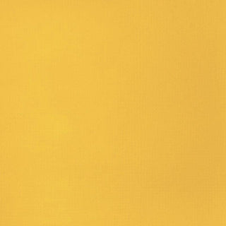 Liquitex Basics Acrylic Paint 250ml - 163 Cadmium Yellow Deep Hue