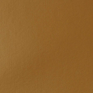 Liquitex Basics Acrylic Paint 250ml - 330 Raw Sienna