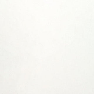 Faber-Castell Pitt Pastel Pencils - 101 White (Medium)