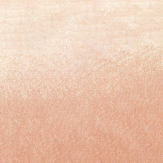 Faber-Castell Pitt Pastel Pencils - 132 Beige Red