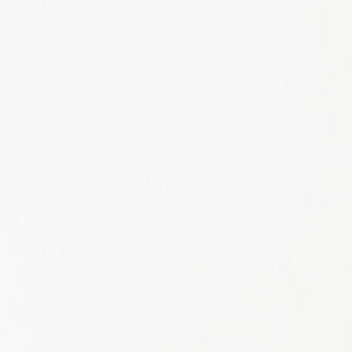 Liquitex Basics Acrylic Paint 250ml - 432 Titanium White