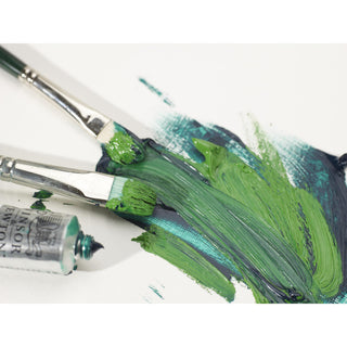 Winsor & Newton Winton Oil Paint Set 10 x 21ml
