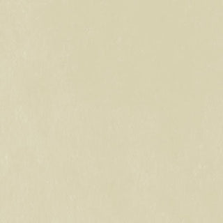 Unison Colour Single Soft Pastels - Yellow Green Earth 14