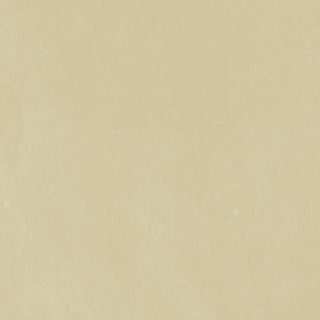 Unison Colour Single Soft Pastels - Yellow Green Earth 15