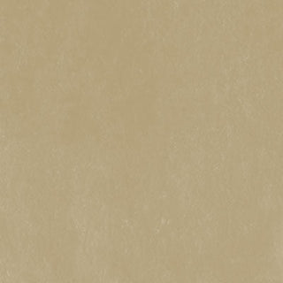 Unison Colour Single Soft Pastels - Yellow Green Earth 16