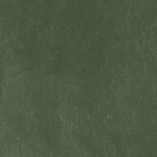 Unison Colour Single Soft Pastels - Yellow Green Earth 18