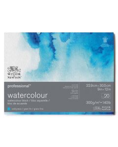 Winsor & Newton Professional Watercolour Cold Pressed Block - 9 x 12"