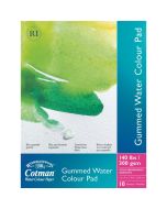 Winsor & Newton Cotman Gummed Water Colour Pad 12 x 9"