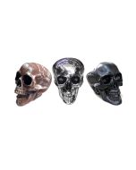 Prop Plastic Human Skull Models in 3 Colours